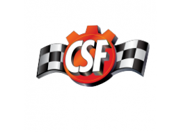 CSF